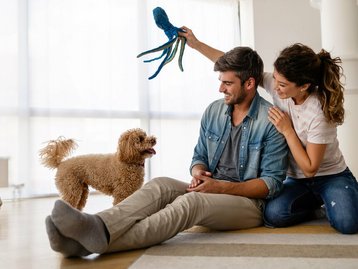 Haus-Familie-Wohnen-Serie-42-23